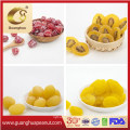 Hot Sales Delicious Fresh Dried Kiwi